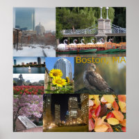 Boston, Massachusetts FotoCollage