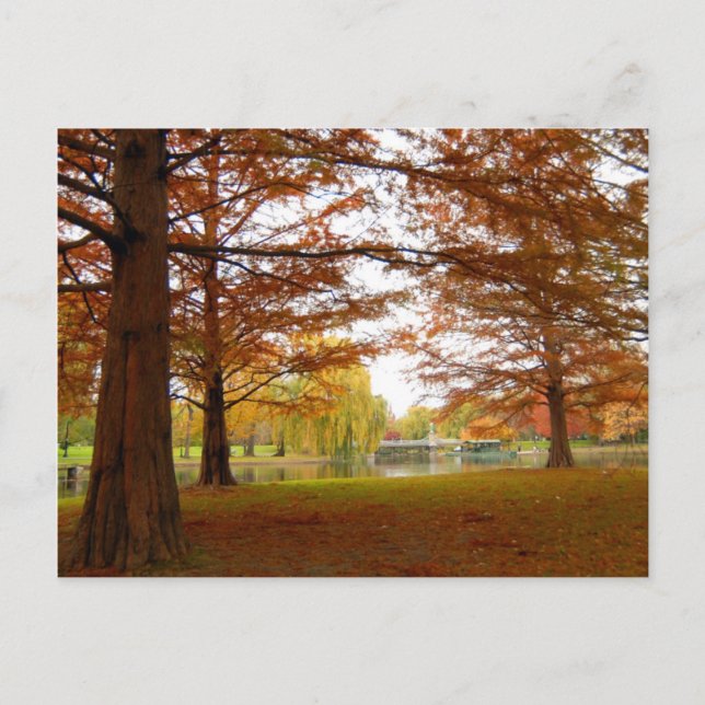 Boston Postkarte (Vorderseite)