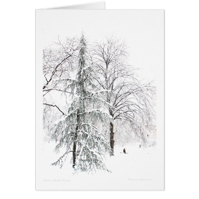 Boston Public Garden (Vorne)