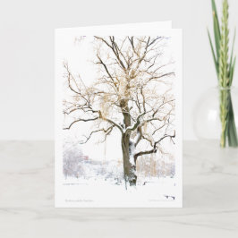 Boston Public Garden: Begrüßung hinzufügen Karte