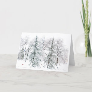 Boston Public Garden: Einfache Vergnügen der Saiso Feiertagskarte