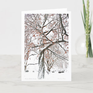 Boston Public Garden Feiertagskarte