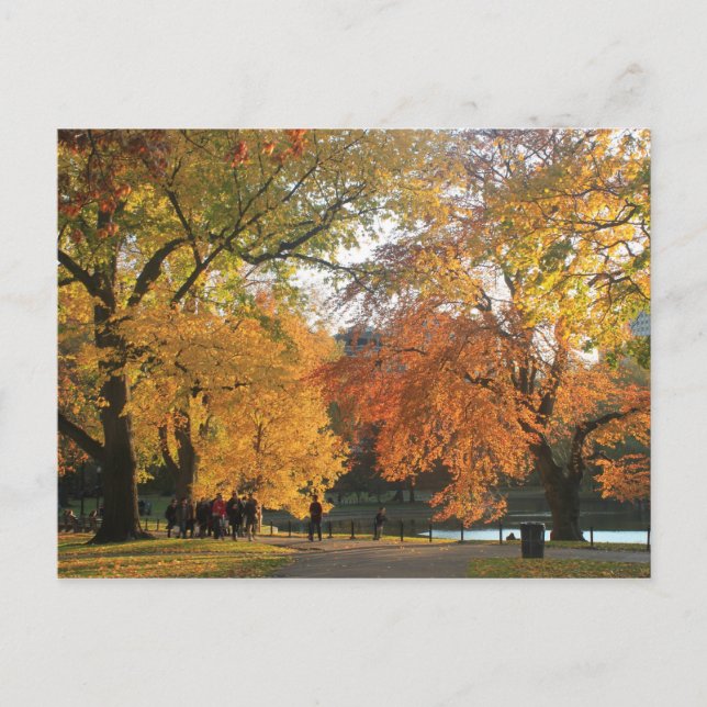 Boston Public Garden Herbst Postkarte (Vorderseite)