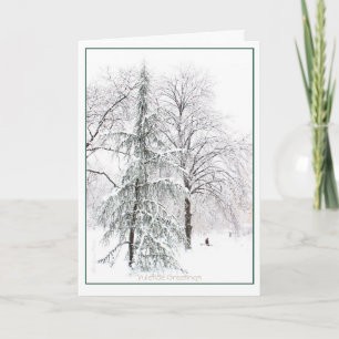 Boston Public Garden: Holiday Yuletide Feiertagskarte