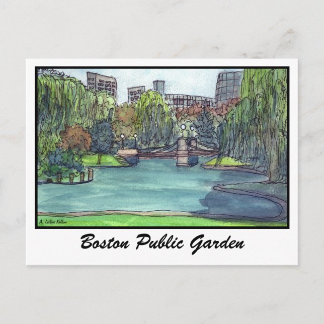Boston Public Garden Postkarte (Vorderseite)