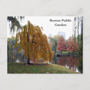 Boston Public Garden Postkarte