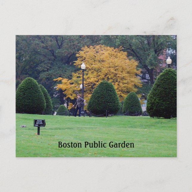 Boston Public Garden Postkarte (Vorderseite)