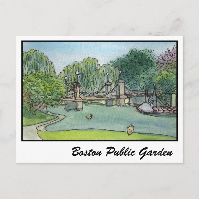Boston Public Garden Swan Boats Postkarte (Vorderseite)