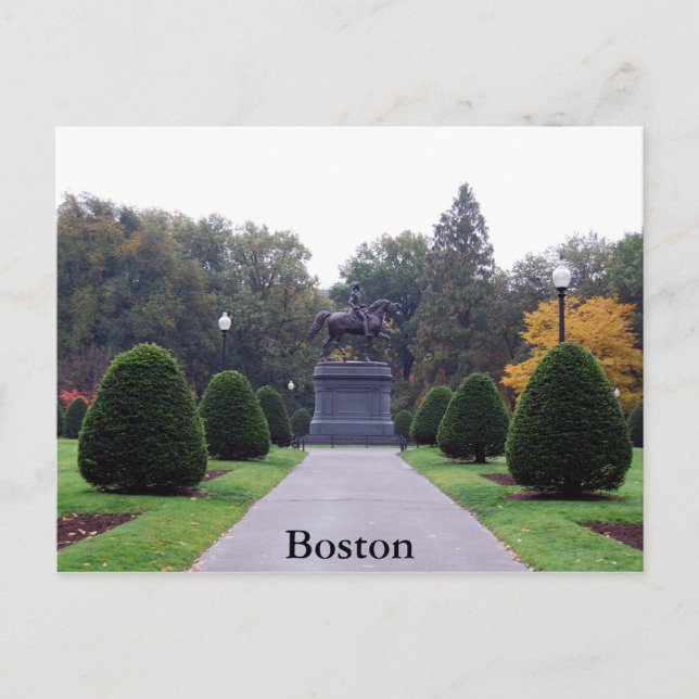 Boston Public Gardens Postcard Postkarte (Vorderseite)