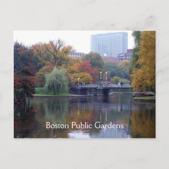 Boston Public Gardens Postkarte (Vorderseite)