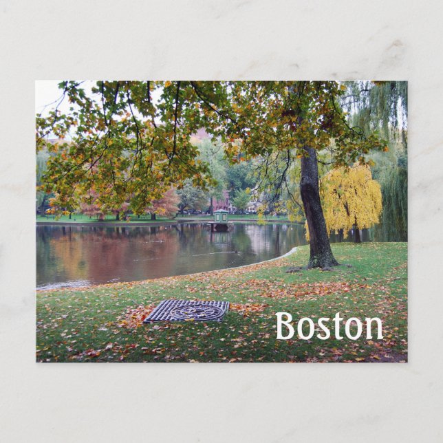 Boston Public Gardens Postkarte (Vorderseite)