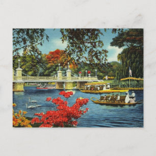 Boston-Schwanenboote Postkarte