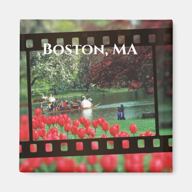Boston Swan Boats Magnet (Vorne)