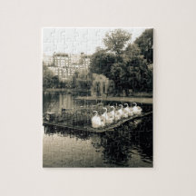 Boston Swan Boote in Schwarz und Weiß