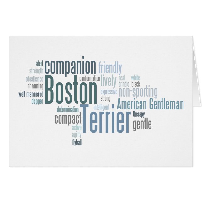 Boston Terrier (Vorderseite (Horizontal))