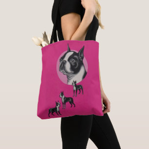 Boston Terrier