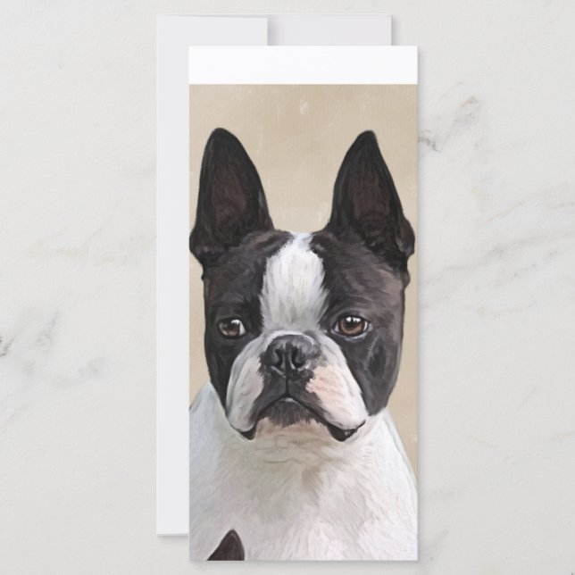Boston Terrier (Vorderseite)