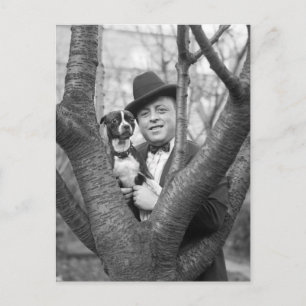 Boston Terrier, 1920er Postkarte
