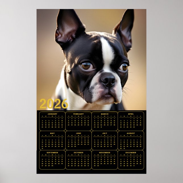 Boston Terrier 2026 Calendar  Poster (Vorne)