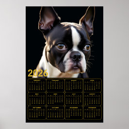 Boston Terrier 2026 Kalender  Poster