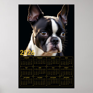 Boston Terrier 2026 Kalender Poster