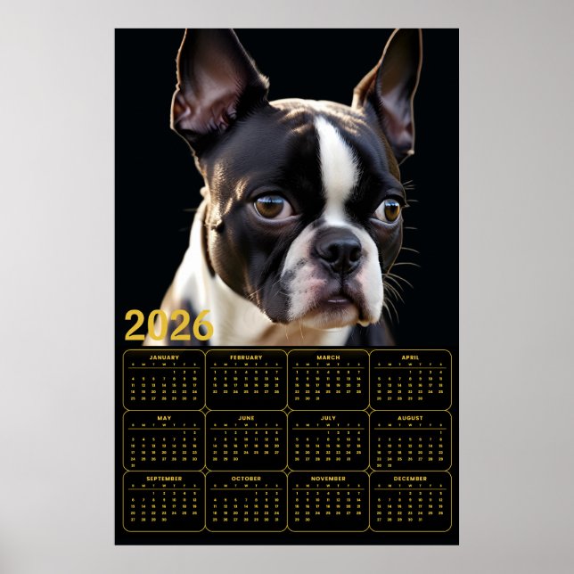 Boston Terrier 2026 Kalender  Poster (Vorne)