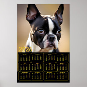 Boston Terrier 2026 Kalender Poster