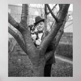 Boston Terrier, 20er Poster