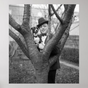 Boston Terrier, 20er Poster