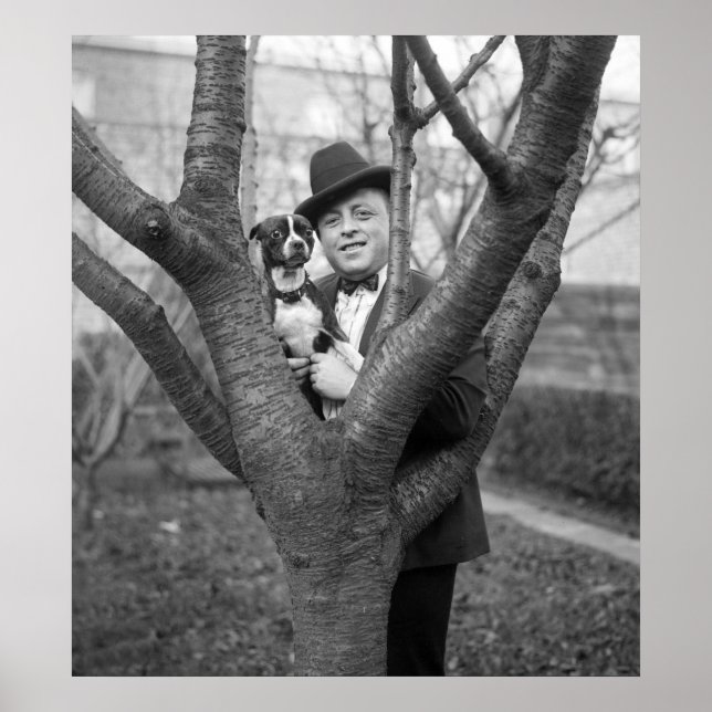 Boston Terrier, 20er Poster (Vorne)