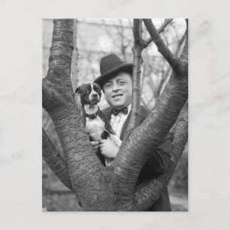 Boston Terrier, 20er Postkarte
