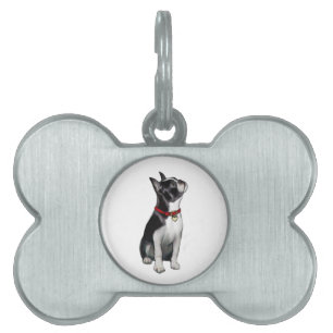 Boston Terrier (A) - aufschauend Tiermarke