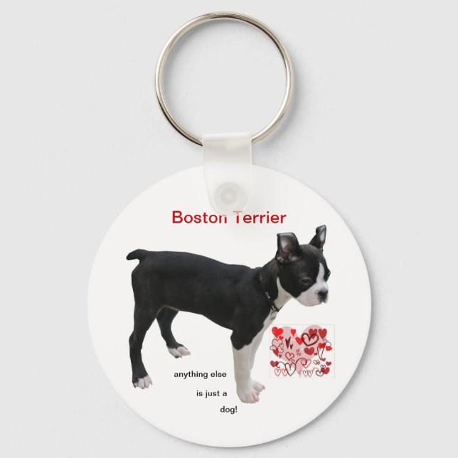 Boston Terrier Alles andere ist nur ein Hund Schlüsselanhänger (Vorderseite)