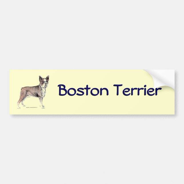Boston Terrier Autoaufkleber (Vorne)