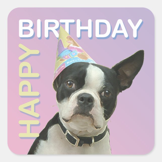Boston Terrier Birthday Sticker (Vorderseite)
