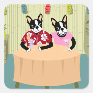 Boston Terrier Boy & Girl Quadratischer Aufkleber