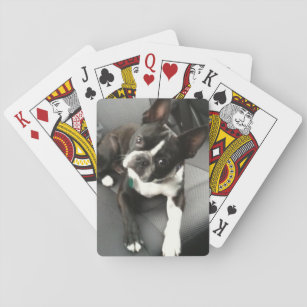 Boston Terrier Buddy Cards Spielkarten