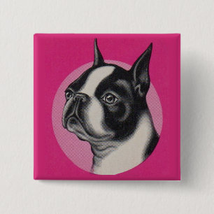 Boston Terrier Button