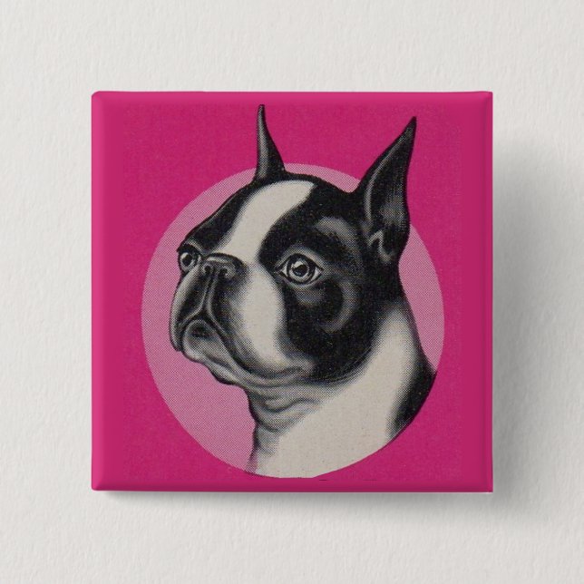Boston Terrier Button (Vorderseite)