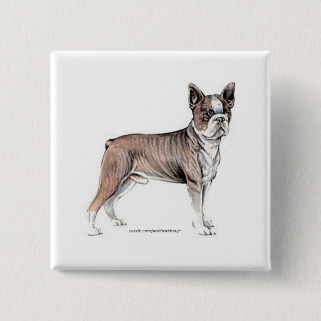 Boston Terrier Button (Vorderseite)