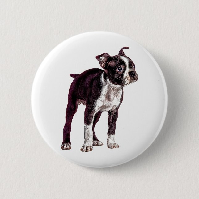Boston Terrier Button (Vorderseite)