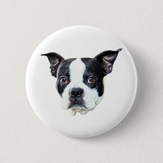 Boston Terrier Button (Vorderseite)