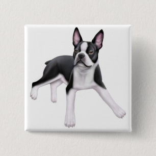 Boston-Terrier-Button Button
