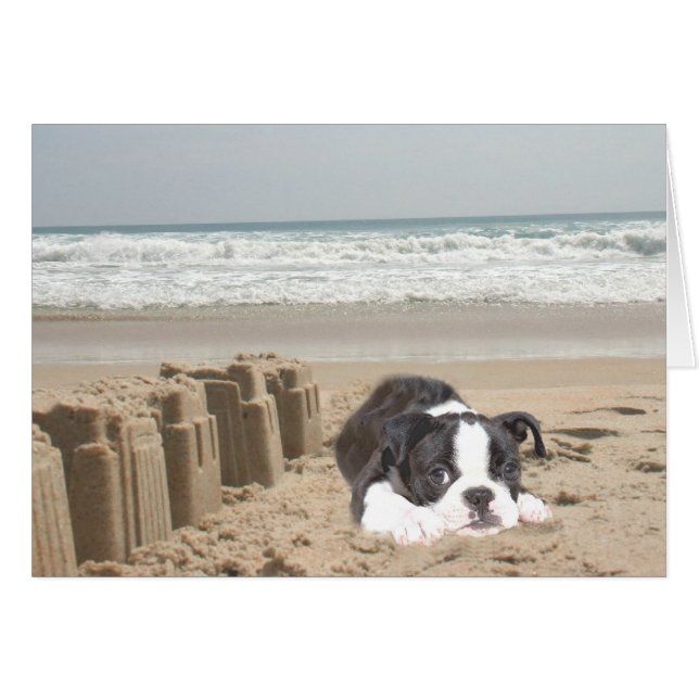 Boston Terrier Card Sandcasts (Vorderseite (Horizontal))