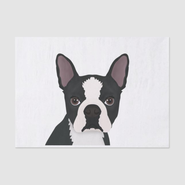 Boston-Terrier-Cartoon Seidenpapier (Vorderseite)