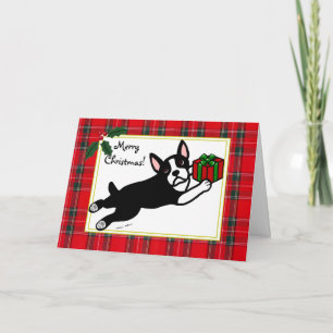 Boston Terrier Cartoon Tartan Weihnachtskarten Feiertagskarte