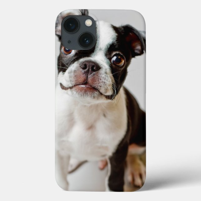 Boston Terrier Case-Mate iPhone Hülle (Rückseite)