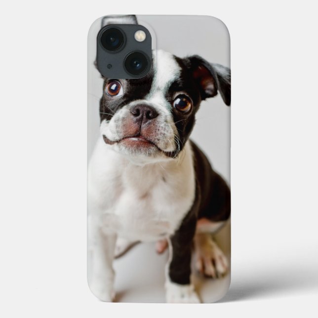 Boston Terrier Case-Mate iPhone Hülle (Rückseite)