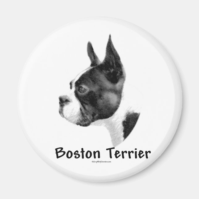 Boston Terrier Charcoal 2 - Magnet (Vorne)