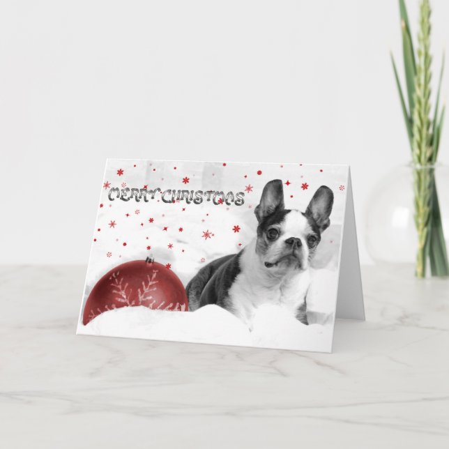 Boston Terrier Christmas Card Feiertagskarte (Vorderseite)